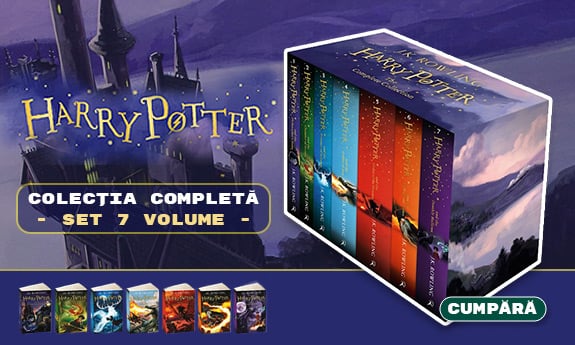 Harry Potter Banner