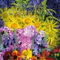 Agende & Calendare