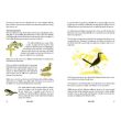 The Wild Book: Outdoor Activities to Unleash Your Inner Child