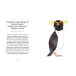 Penguins and Other Sea Birds