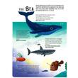 Lift the Flap: Discover the Wonders of our Planet