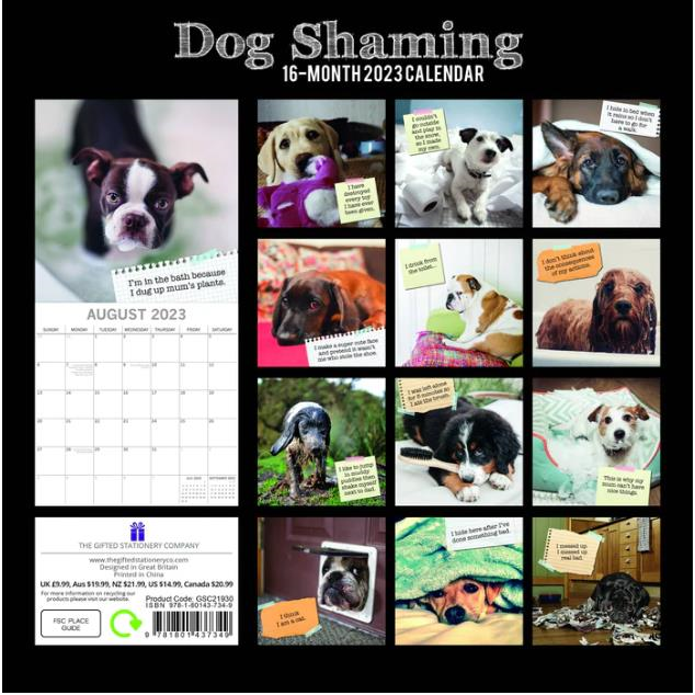 Dog Shaming Calendar 2023 The Gifted Stationary Antic Exlibris