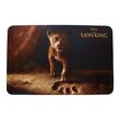 8 Picture Placemats Design Assorted