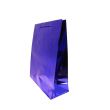 Holographic Gift Bag