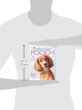 Pamper Your Pooch: 30 Practical Presents for Dogs