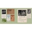 Snapshot Chronicles: Inventing the American Photo Album