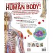 Knowledge Encyclopedia: Human Body