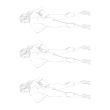Design and Ilustrate: Fashion Figure Templates 