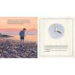 Sea Glass Summer