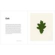 Forest: Walking Among Trees, Matt Collins, Roo Lewis