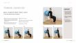 THE EXERCISE BALL BIBLE 