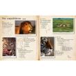 MY BIG CATS JOURNAL: IN SEARCH OF LIONS, LEOPARDS, CHEETAHS AND TIGERS