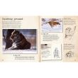 MY BIG CATS JOURNAL: IN SEARCH OF LIONS, LEOPARDS, CHEETAHS AND TIGERS
