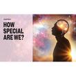 The Essential Book of Consciousness Master the Mysteries of Consciousness in 12 Short Chapters