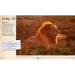MY BIG CATS JOURNAL: IN SEARCH OF LIONS, LEOPARDS, CHEETAHS AND TIGERS