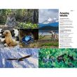 The Rough Guide to South America On a Budget