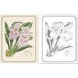 The Kew Gardens Flowers Colouring Book