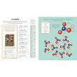 Museum of Marvels: Science Activity Book