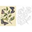 The Butterflies Colouring Book