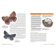 Extinction: Not the End of the World?