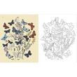 The Butterflies Colouring Book