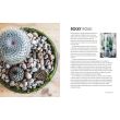 Succulents and All things Under Glass, Isabelle Palmer