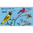 Busy Day For Birds