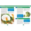 Body Transformation Manual