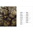 Forest: Walking Among Trees, Matt Collins, Roo Lewis