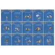 Winnie The Pooh Illustrated Classic Story Collection: 30 Books Box Set