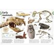 The Rock & Gem Book (DK - Our World in Pictures)