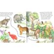 First Bible Story book