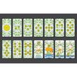 Flora Tarot Book and 78-Card Deck