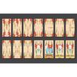 Flora Tarot Book and 78-Card Deck