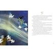 Tales of the Night Sky Stories of Stars from Around the World