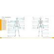 Art Class: Anatomy for the Artist A Complete Guide to Drawing the Human Form