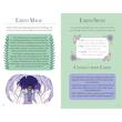 The Girls' Guide to Magic Inspirational Book with 52 Spell Cards