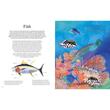 The Illustrated Encyclopedia of Ocean Life (Arcturus Illustrated Encyclopedias)
