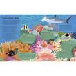 The Illustrated Encyclopedia of Ocean Life (Arcturus Illustrated Encyclopedias)