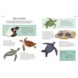 The Illustrated Encyclopedia of Ocean Life (Arcturus Illustrated Encyclopedias)