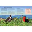 The Illustrated Encyclopedia of Ocean Life (Arcturus Illustrated Encyclopedias)