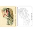 Audubon Birds Colouring Kit (Arcturus Colouring Kits)