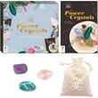 The Power Of Crystals Kit (Book and 3 Crystals)