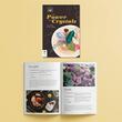 The Power Of Crystals Kit (Book and 3 Crystals)