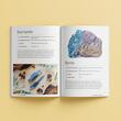 The Power Of Crystals Kit (Book and 3 Crystals)