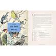 Complete Language Of Birds
