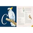 Complete Language Of Birds