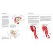 Anatomy Explorer - Your Guide to the Human Body