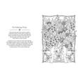 Nature’s Magic: A Colouring Book of Healing Plants and Remedies