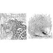 Wondrous Animals: Colour a Kingdom of Creatures (Kerby's Selecion)